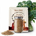 Organic DE CICCIO Sweet Broccoli Italian Heirloom Quick Crop Rare SEEDS