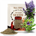 1000 Allheal Seeds - Prunella vulgaris - Heal All