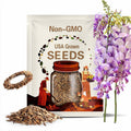Wisteria Flower Seeds, Dark Purple