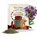 Rare Twin-Blossom Blue Over Pink Sunflower Seeds, Unique Heirloom Variety, Non-GMO