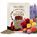 Awesome Anemone dahlia seeds