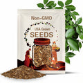 Slippery Elm Tree Seeds (Ulmus rubra) Packet of 5 Seeds - Palm Beach Seed Company 
