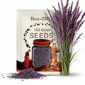 Purple Love Grass Seeds – Ornamental, Beautiful Purple Plumes, Easy to Grow and Drought Tolerant | 50 Seeds