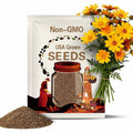 Lanceleaf Coreopsis - 50+ seeds
