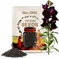 Snapdragon Black Prince -50 Seeds - Gothic