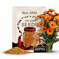 Calendula, Sunset Buff | 50 Seeds | Medicinal Herb | Heirloom | Non GMO | Calendula officinalis